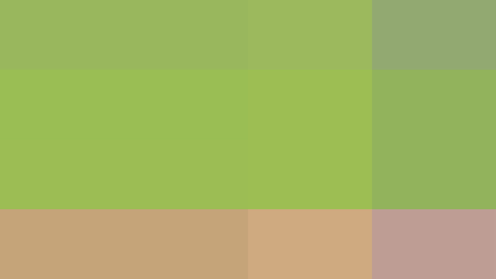 2024-10-11 Antworten in Zahlen auf m�gliche Fragen 256 (RGB Farben)