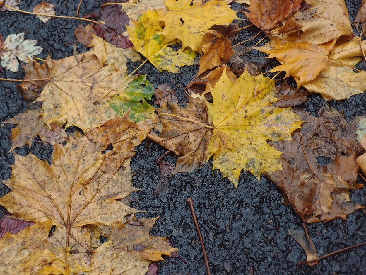 003 2015-11-10 durch die Stadt (Dat Tape 2)