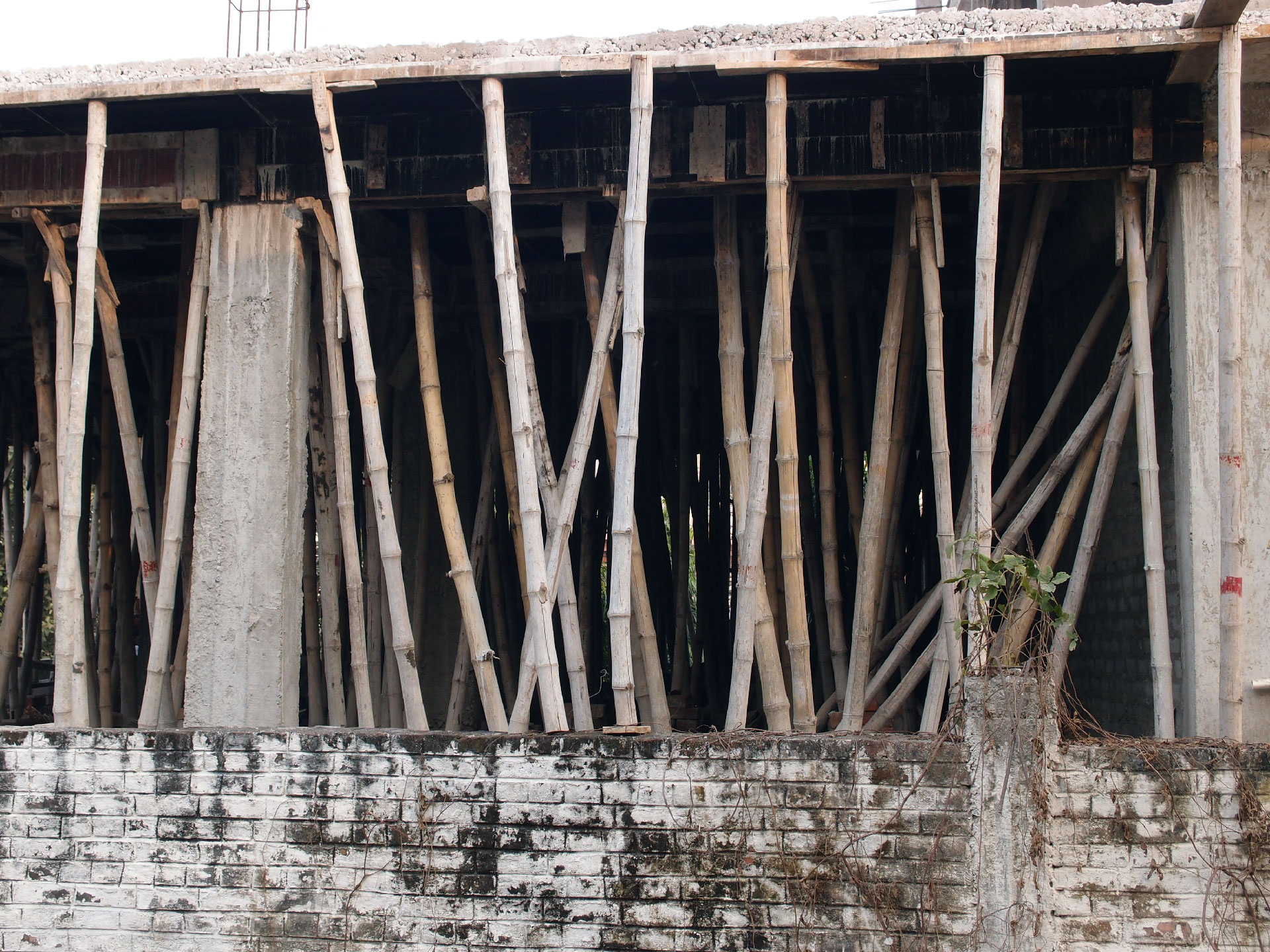 Bodhgaya 20. - 26. Dezember 2014