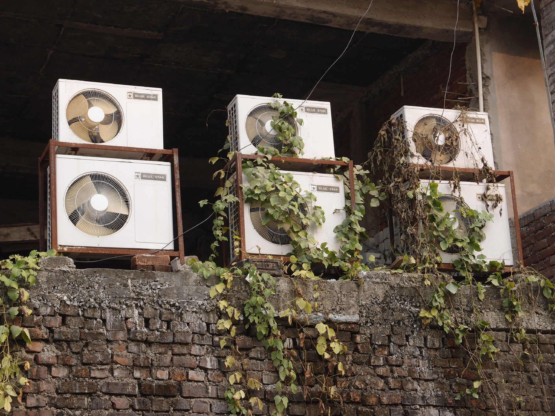 Bodhgaya 20. - 26. Dezember 2014