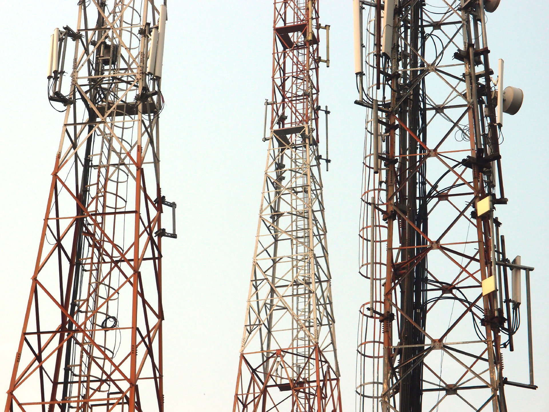 Bodhgaya 20. - 26. Dezember 2014