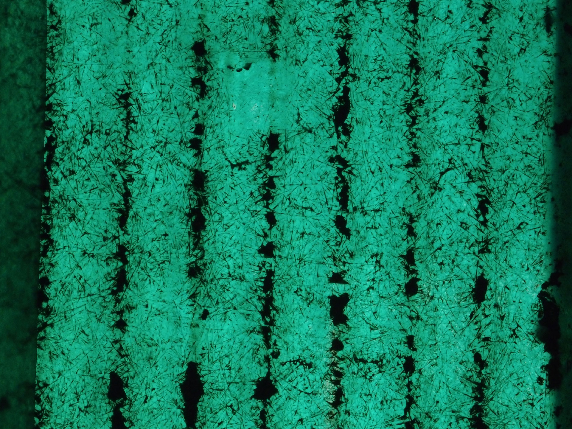 Bodhgaya 20. - 26. Dezember 2014