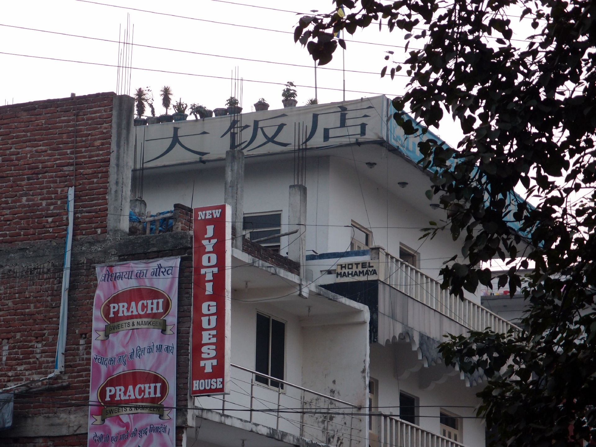 Bodhgaya 20. - 26. Dezember 2014