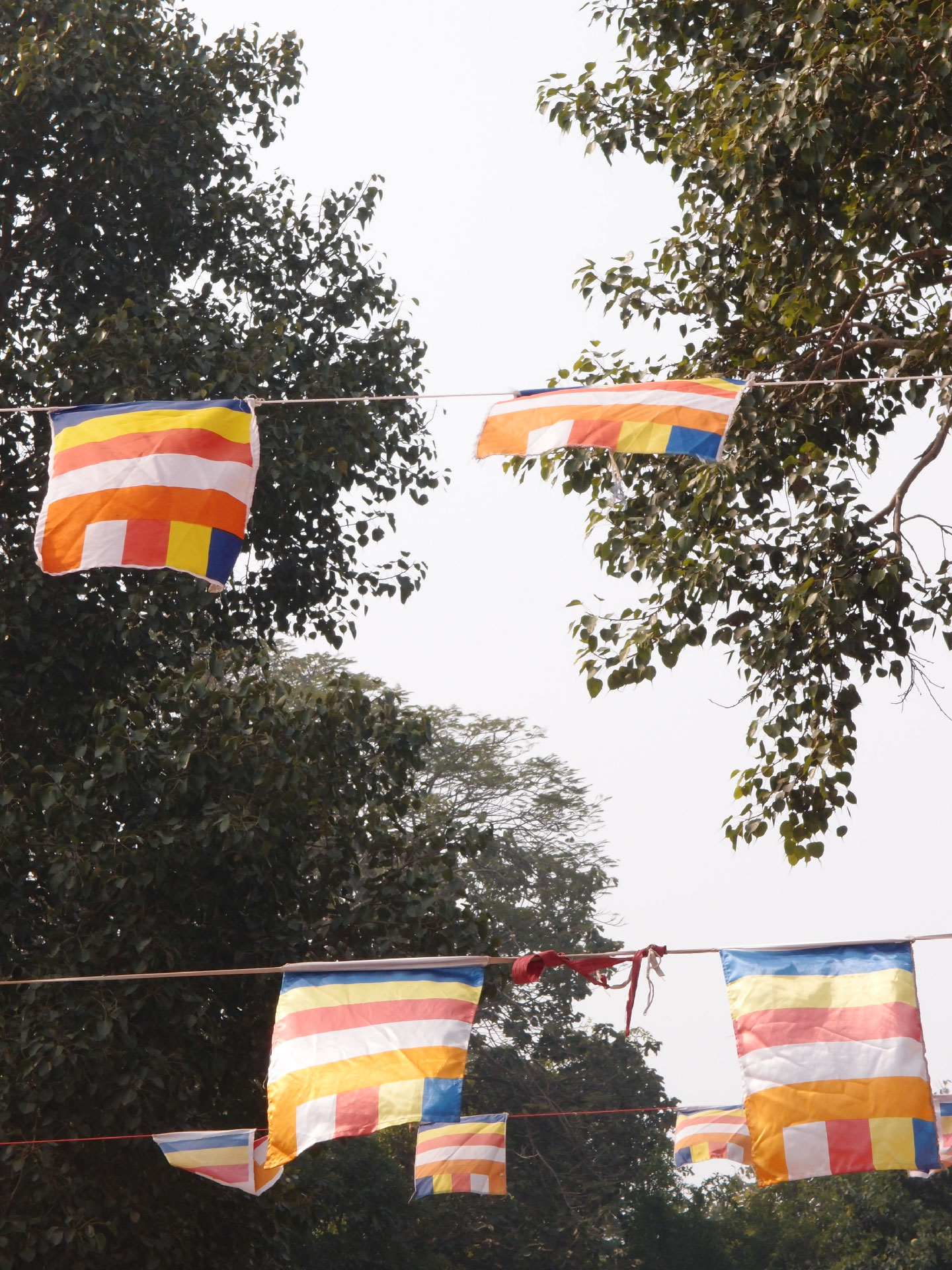 Bodhgaya 20. - 26. Dezember 2014