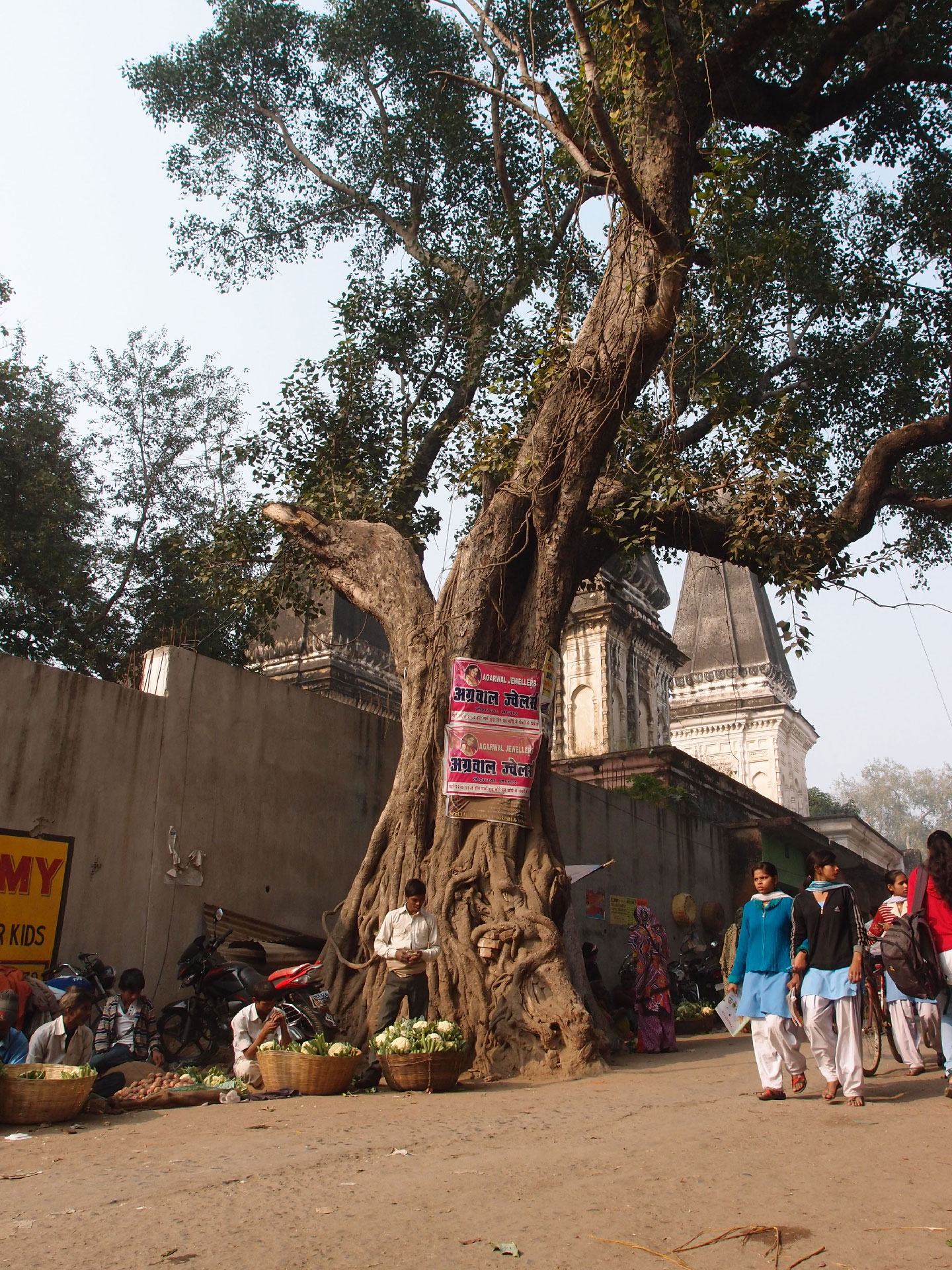Bodhgaya 20. - 26. Dezember 2014