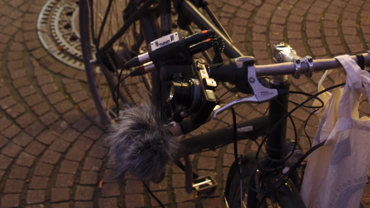 2019-12-11 Spatzen II (Fieldrecording Video) 