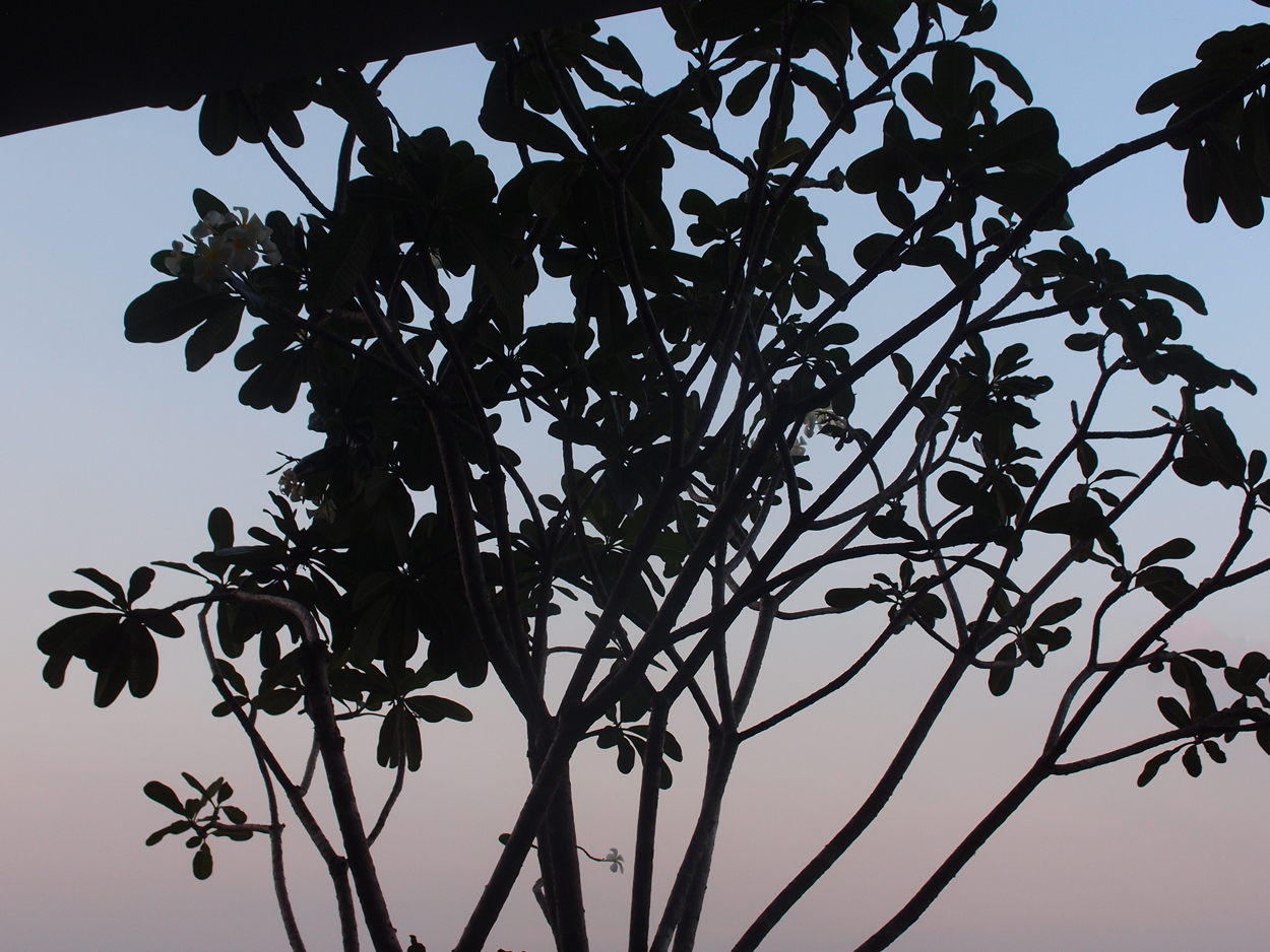 2019-12-22 17 uhr Bangkok (rooftop)