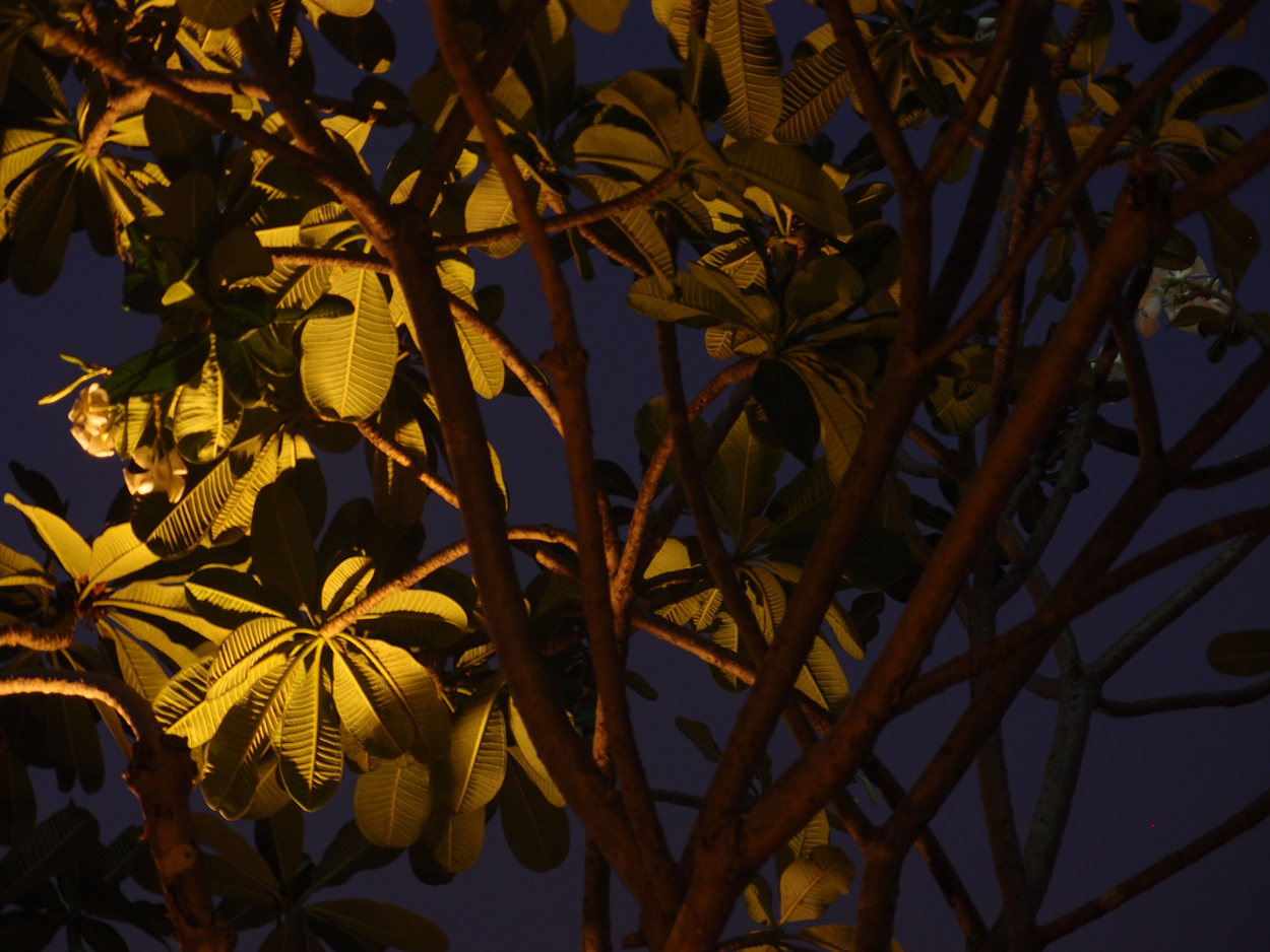 2019-12-22 17 uhr Bangkok (rooftop)