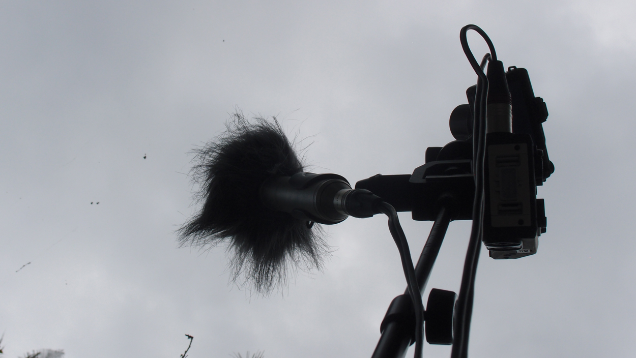 2019-12-24 14 + 16 uhr Spinnennetz (Audio, Video)