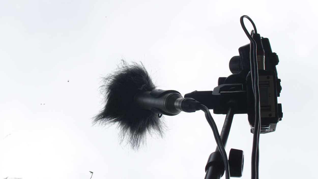 2019-12-24 14 + 16 uhr Spinnennetz (Audio, Video)