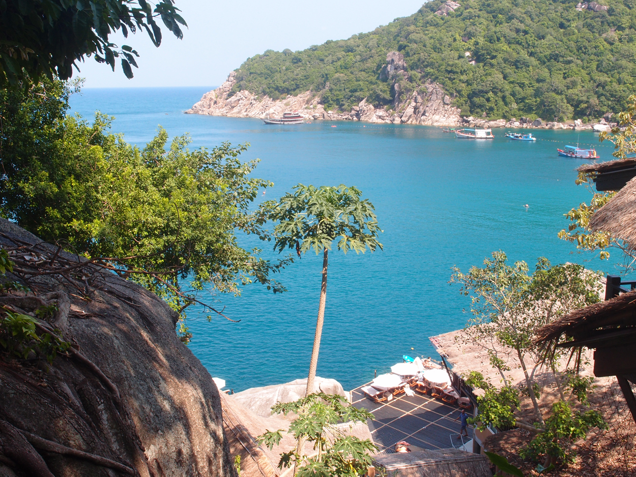 2019-12-29 14 uhr Mango Bay