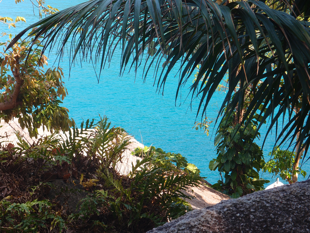 2019-12-29 14 uhr Mango Bay