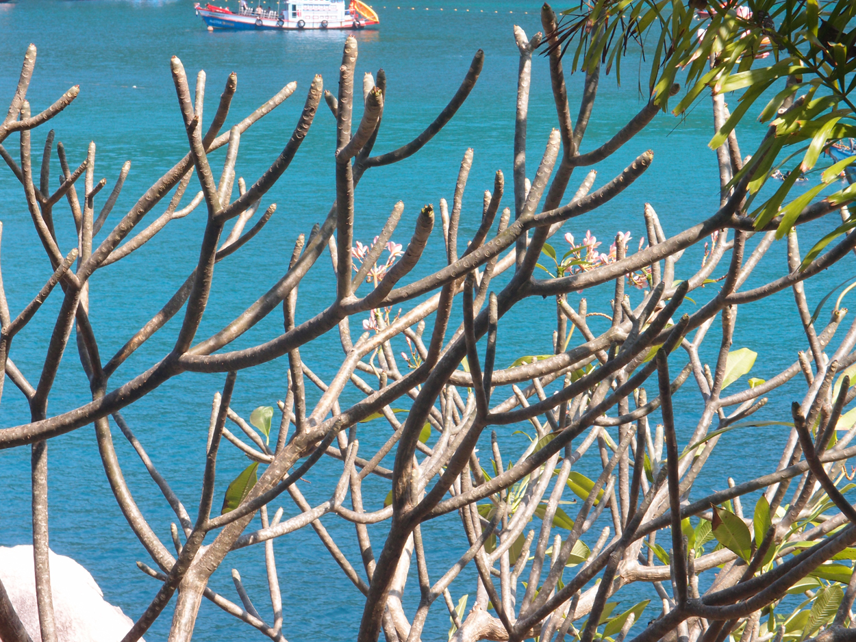 2019-12-29 14 uhr Mango Bay