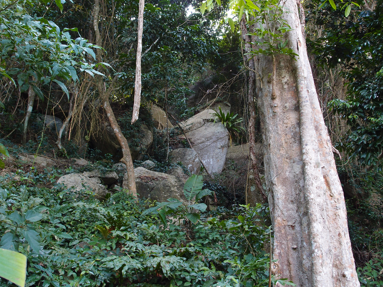 2019-12-29 14 uhr Mango Bay
