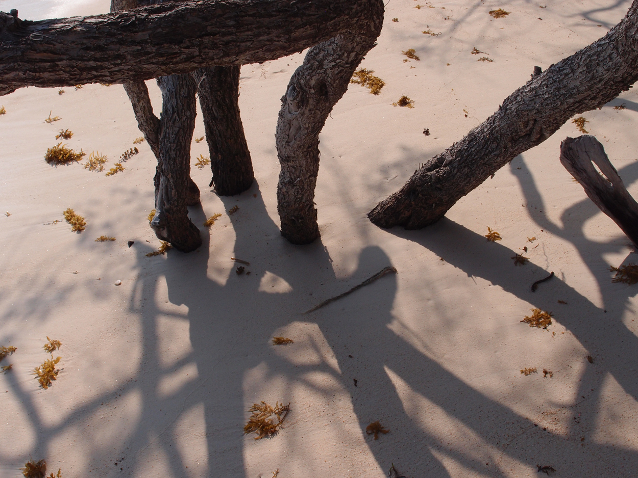2019-12-30 17 uhr Rocky Beach (Foto)