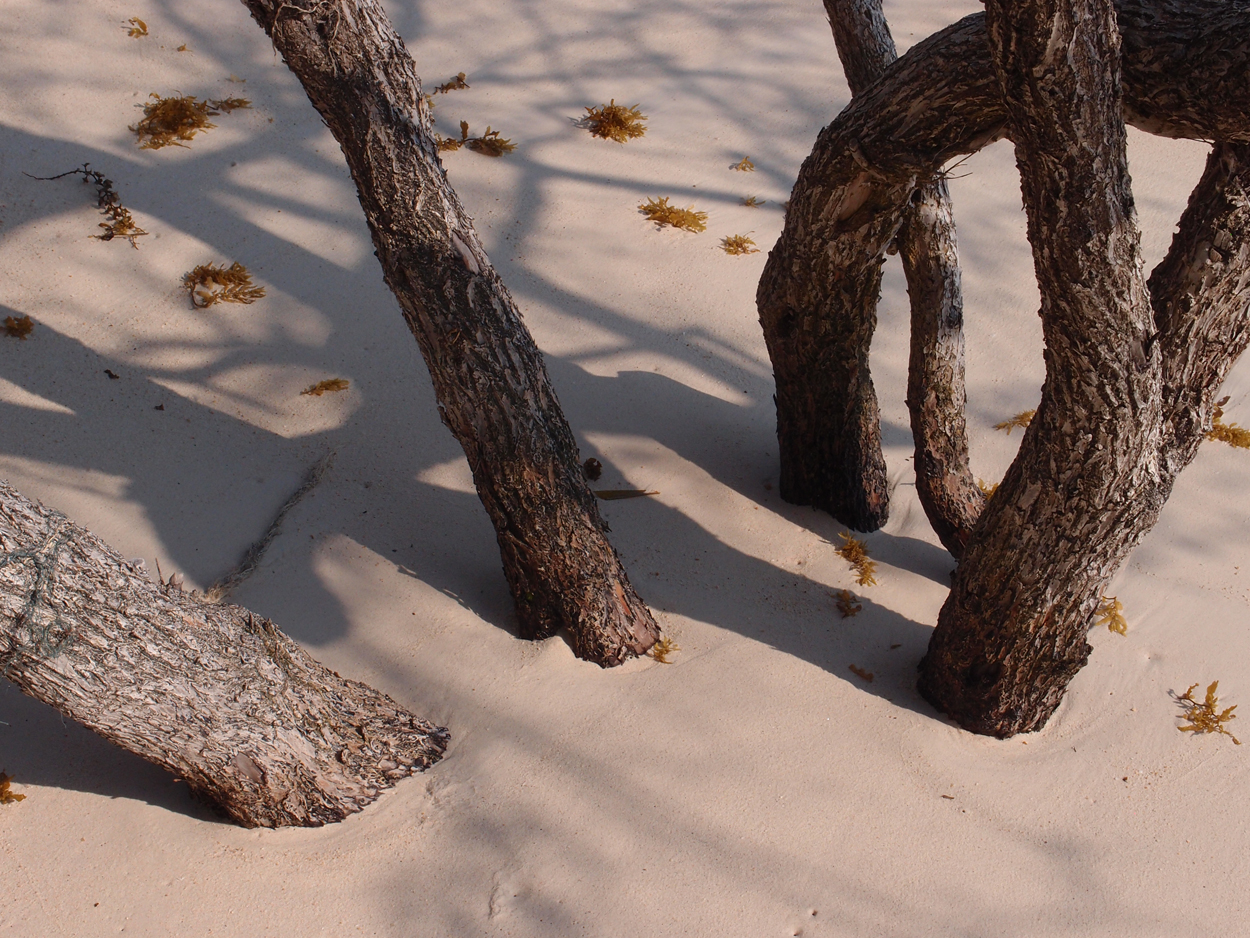 2019-12-30 17 uhr Rocky Beach (Foto)