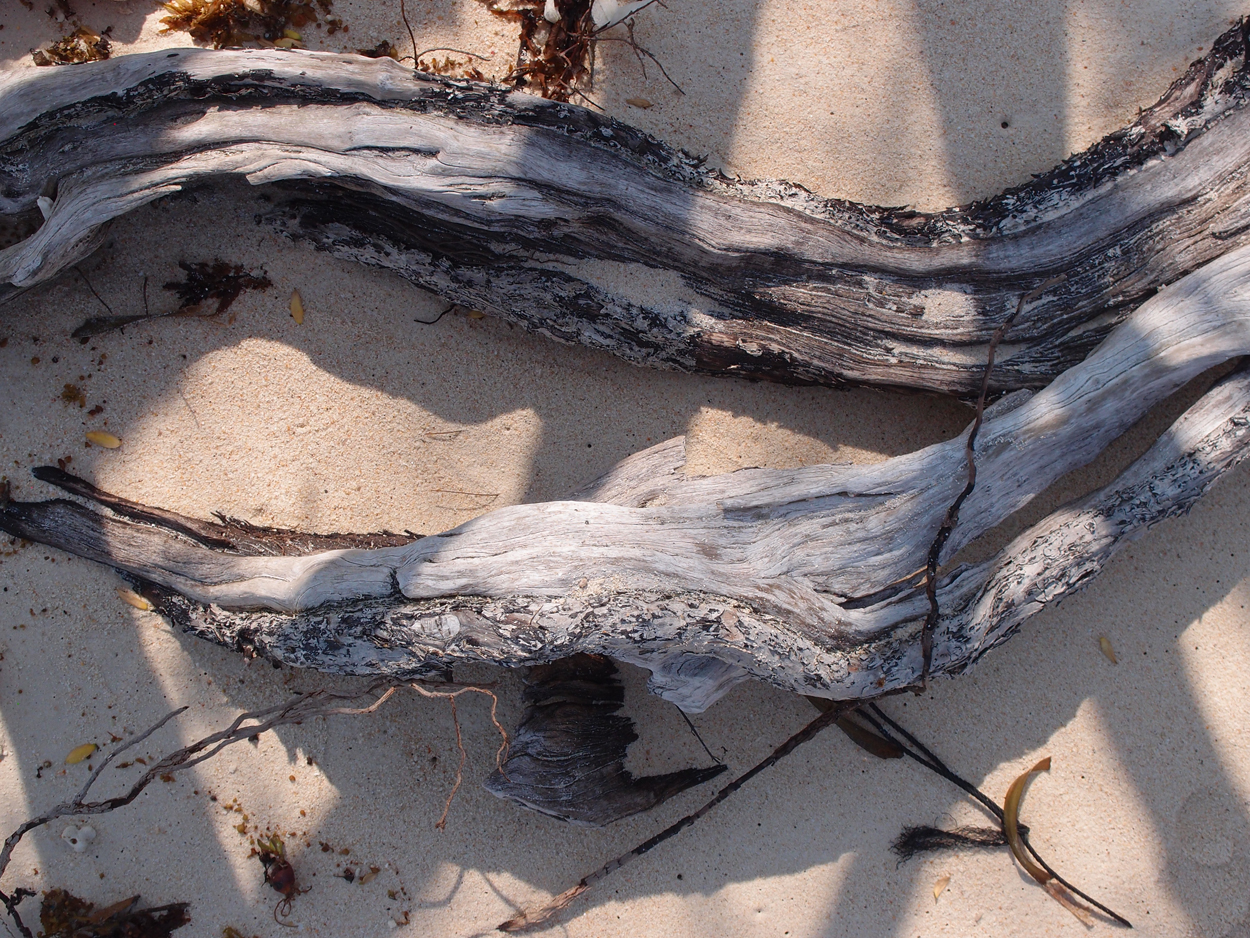 2019-12-30 17 uhr Rocky Beach (Foto)