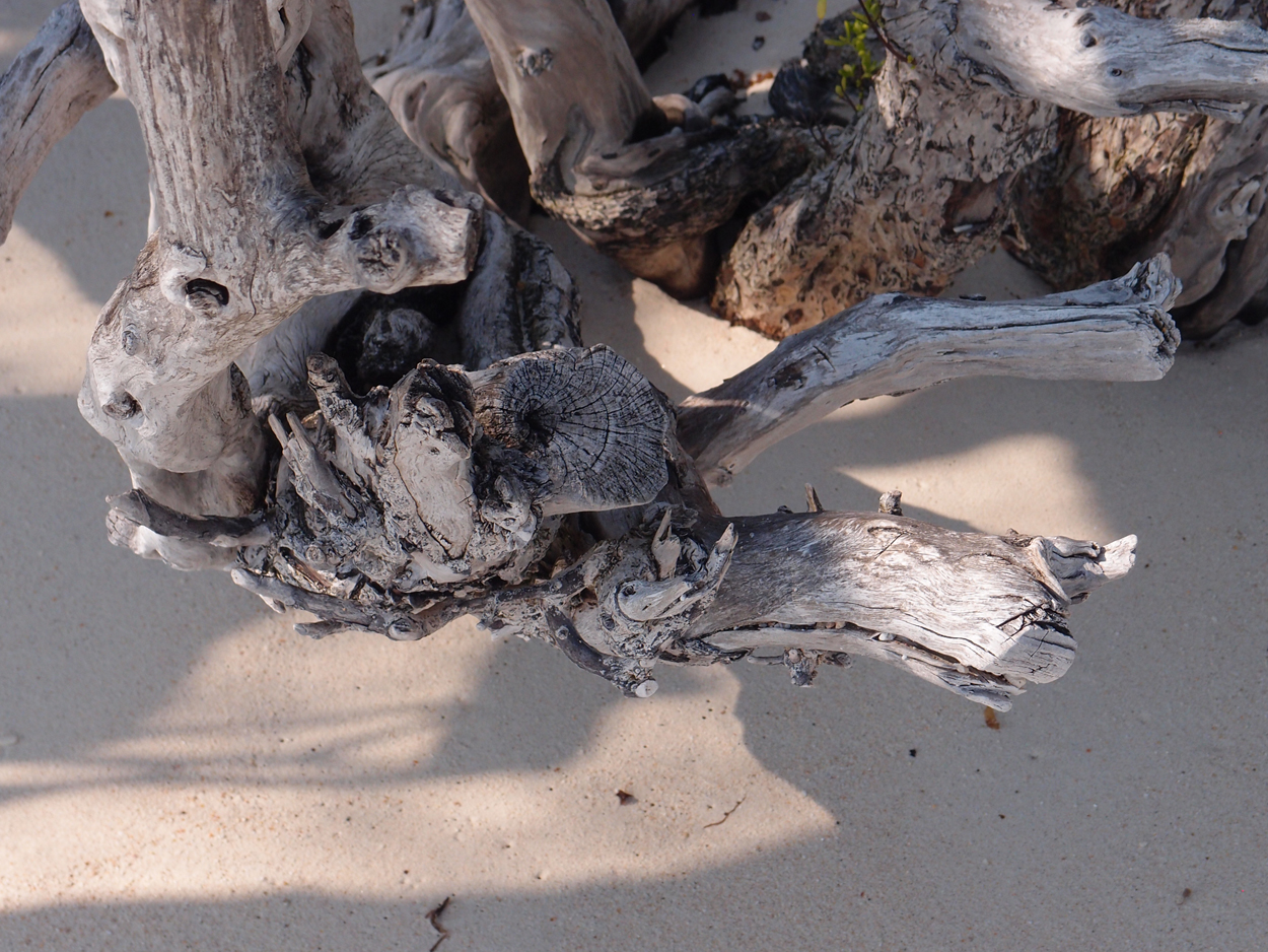 2019-12-30 17 uhr Rocky Beach (Foto)