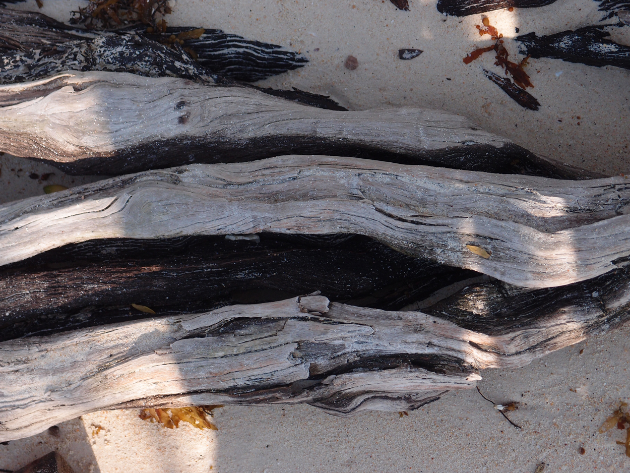 2019-12-30 17 uhr Rocky Beach (Foto)
