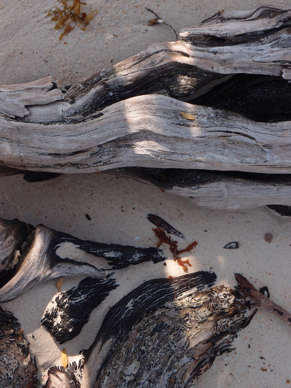 2019-12-30 17 uhr Rocky Beach (Foto)