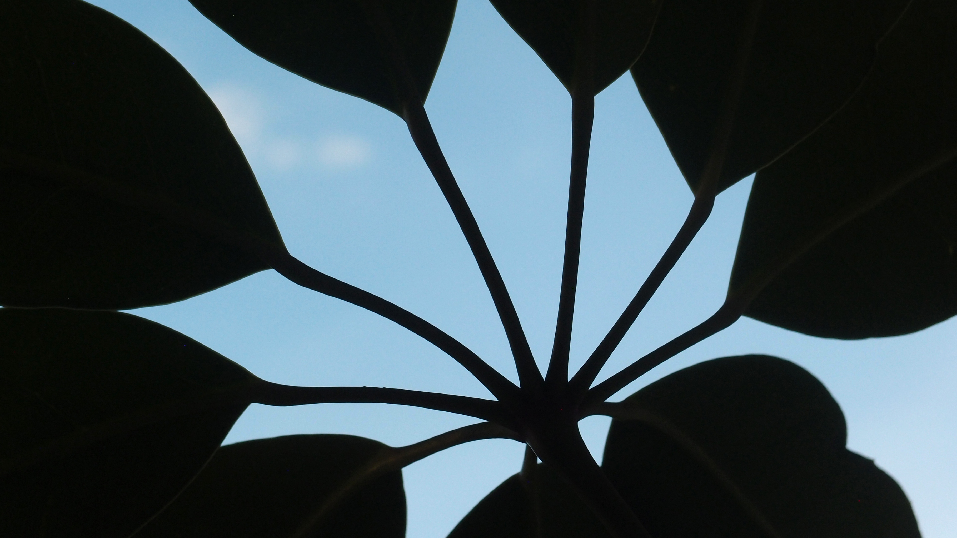 2022-07-12 19 uhr 05 When The Night Comes Falling From The Skies (Audio, Video)