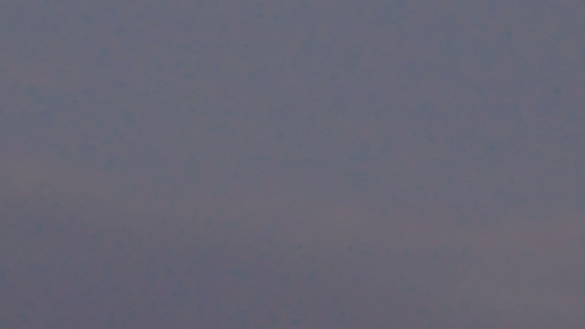 2023-07 Gute Nacht (Videos)