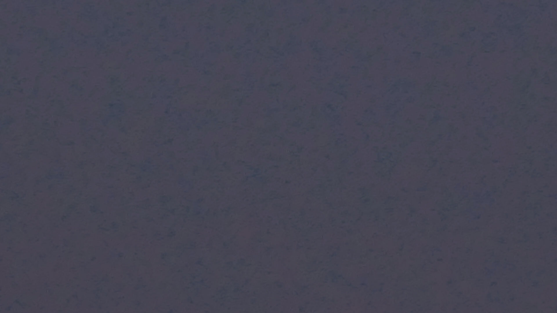 2023-07 Gute Nacht (Videos)