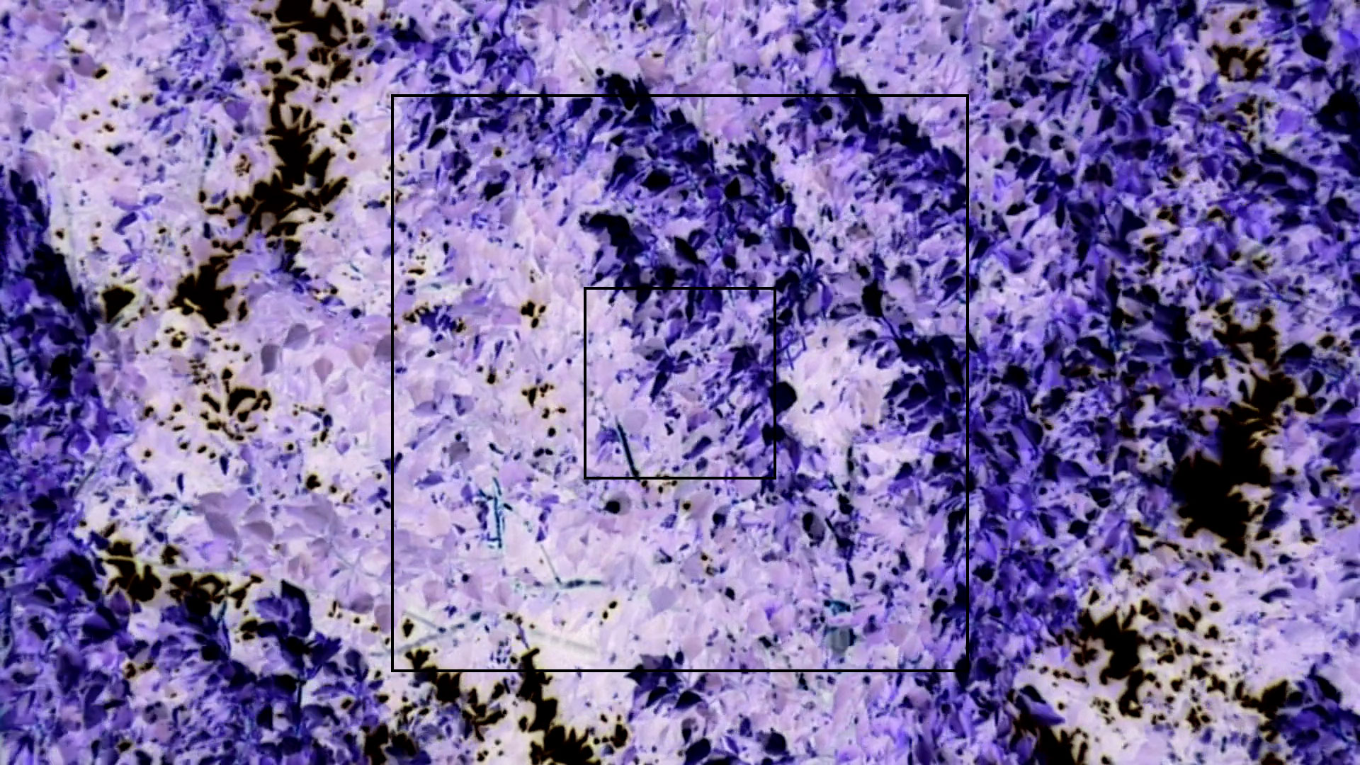 2023-07 Gute Nacht (Videos)