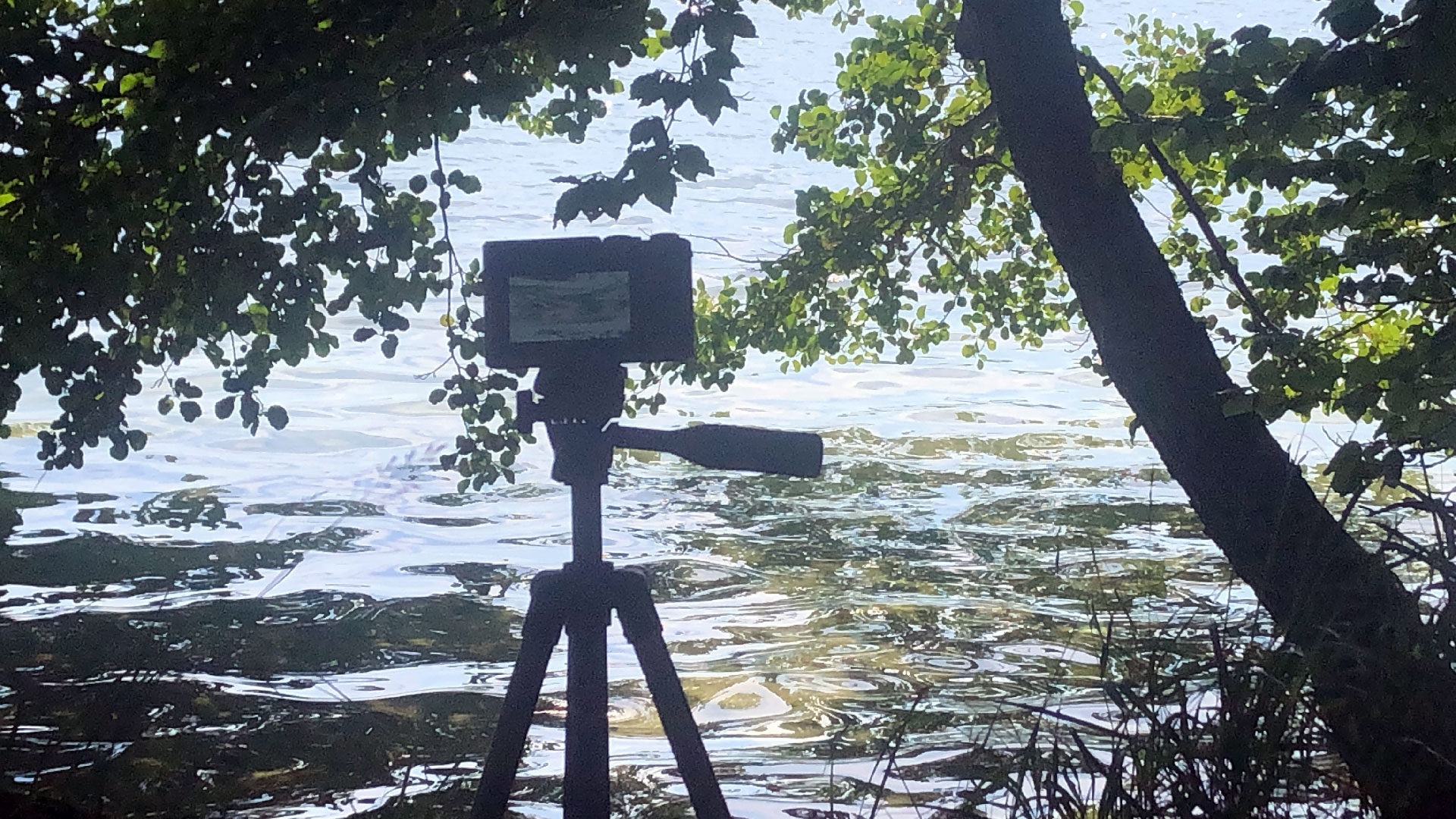 2023-08-19 Licht und Wasser am Stechlin (Fieldrecording Video 1)