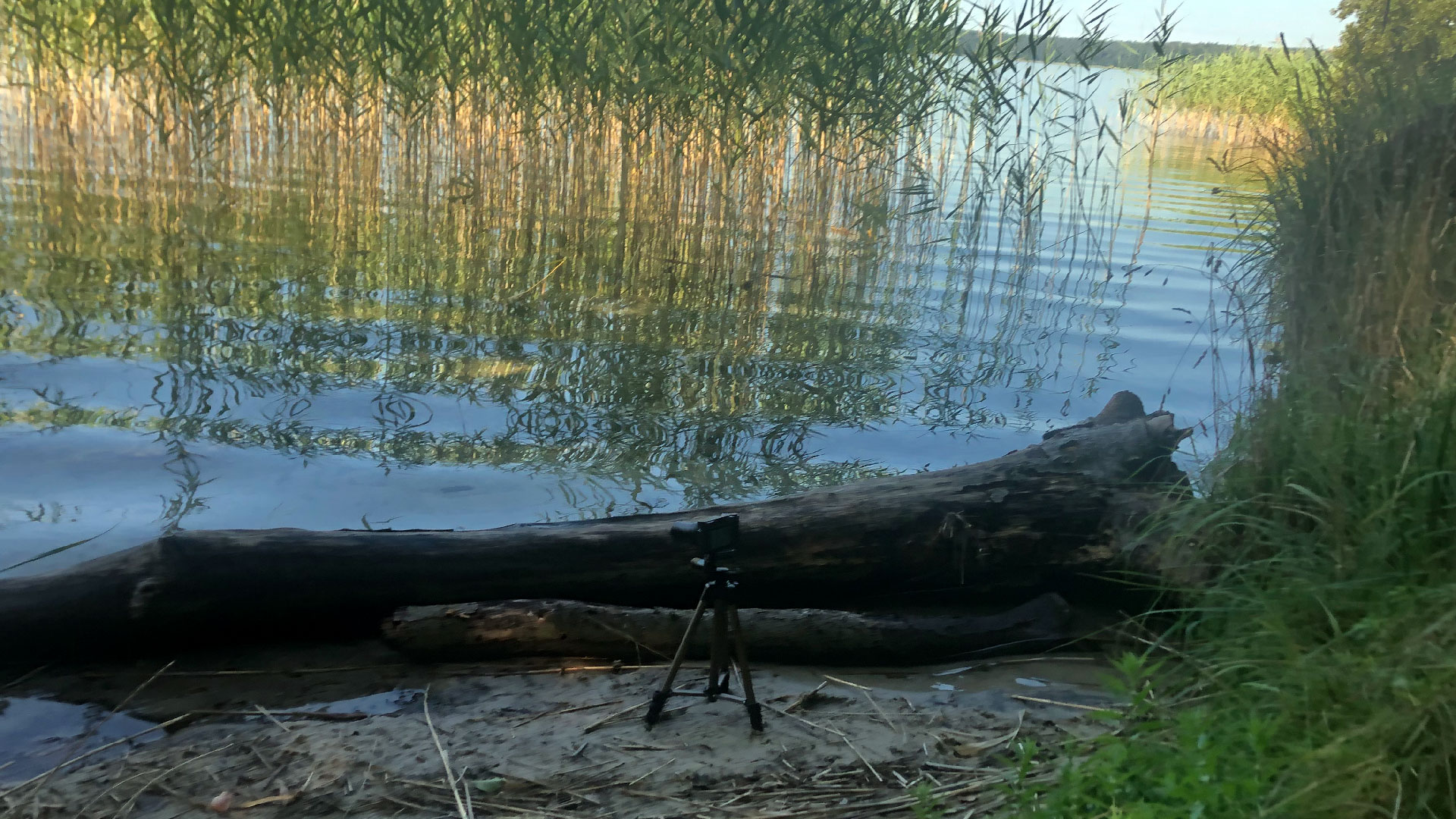 2023-08-19 Licht und Wasser am Stechlin (Fieldrecording Video 3)