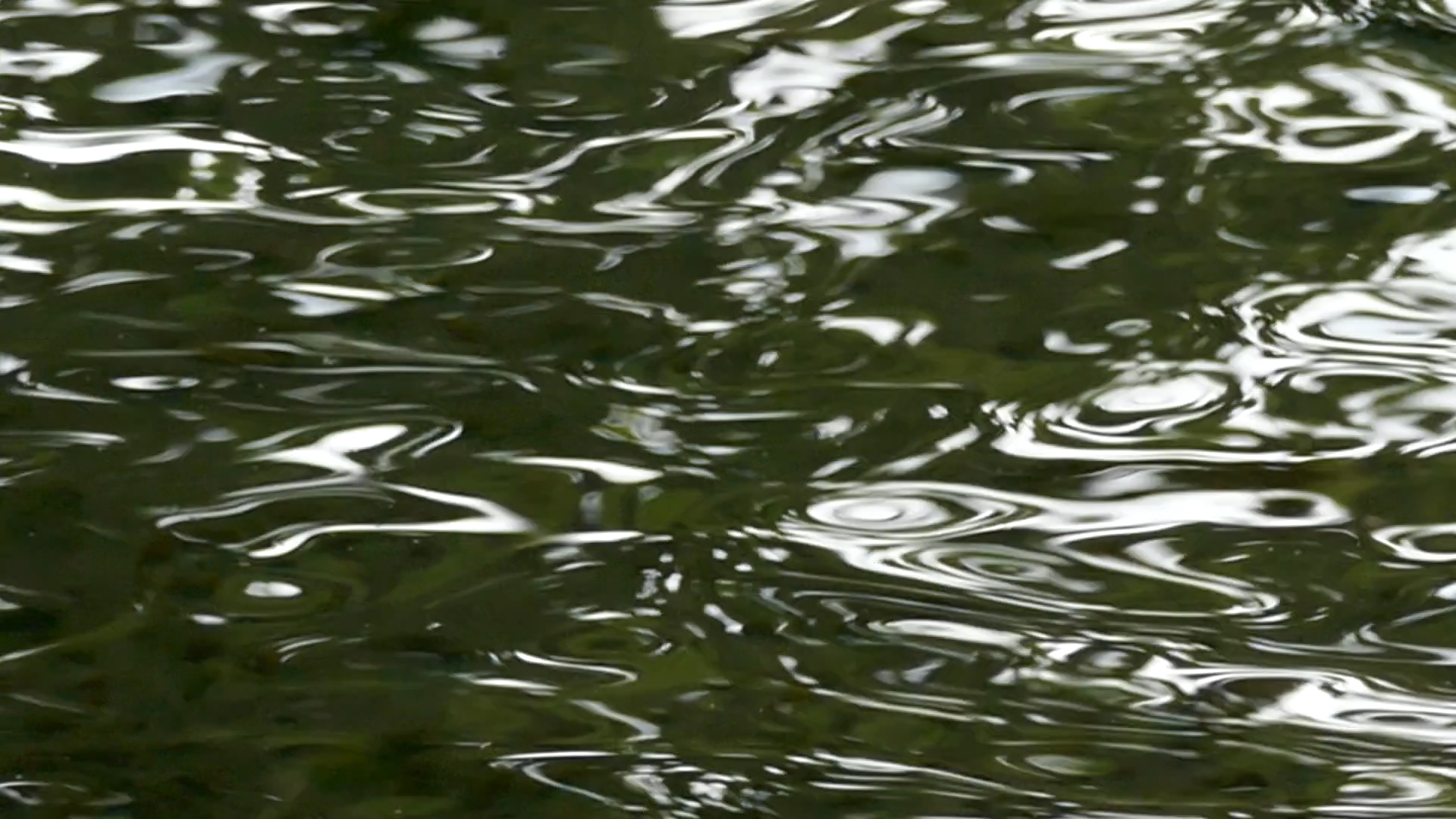 2023-08-19 und -20 Licht und Wasser am Stechlin (Fieldrecording Video)