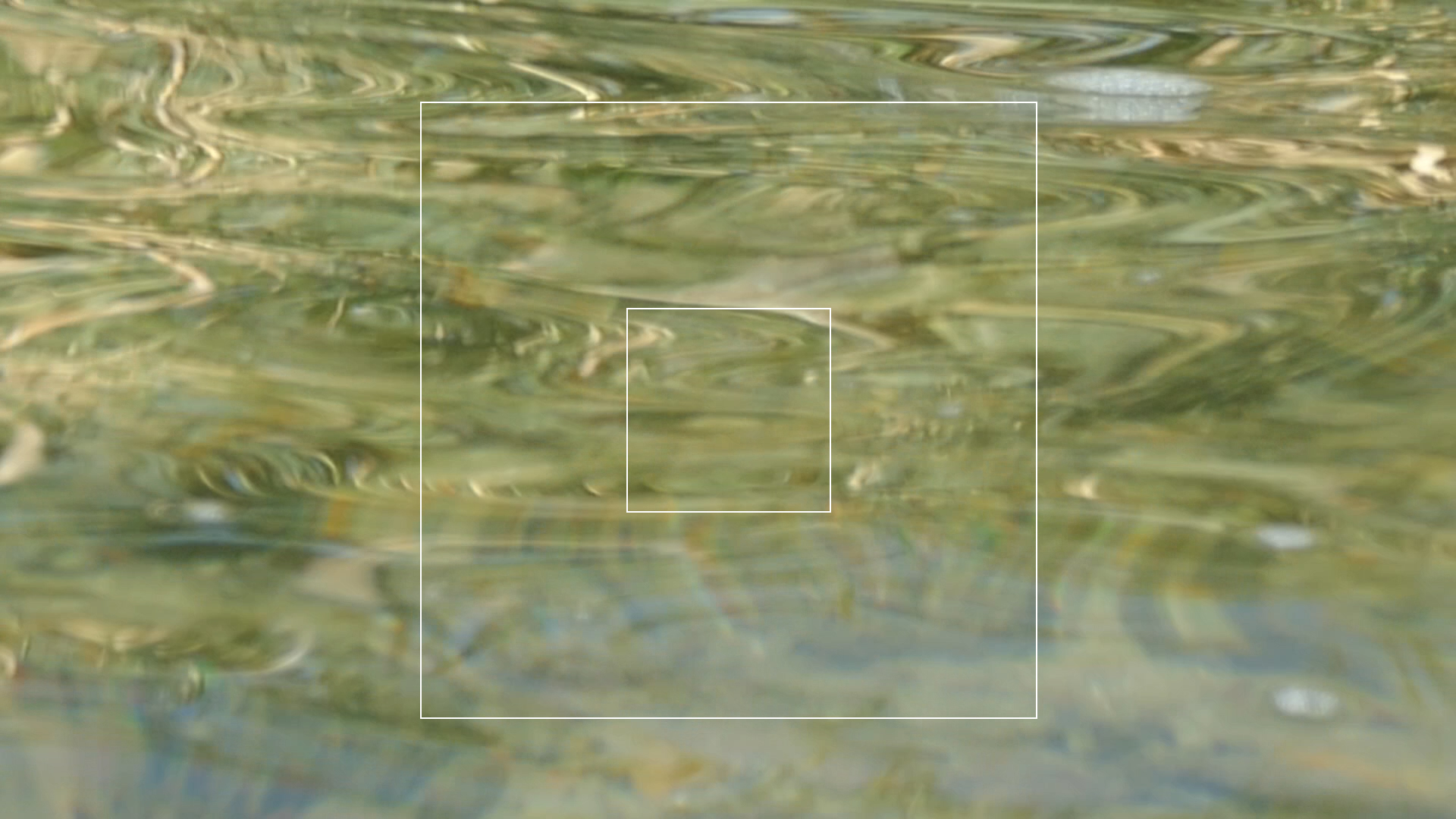 2023-08-19 und -20 Licht und Wasser am Stechlin (Fieldrecording Video)