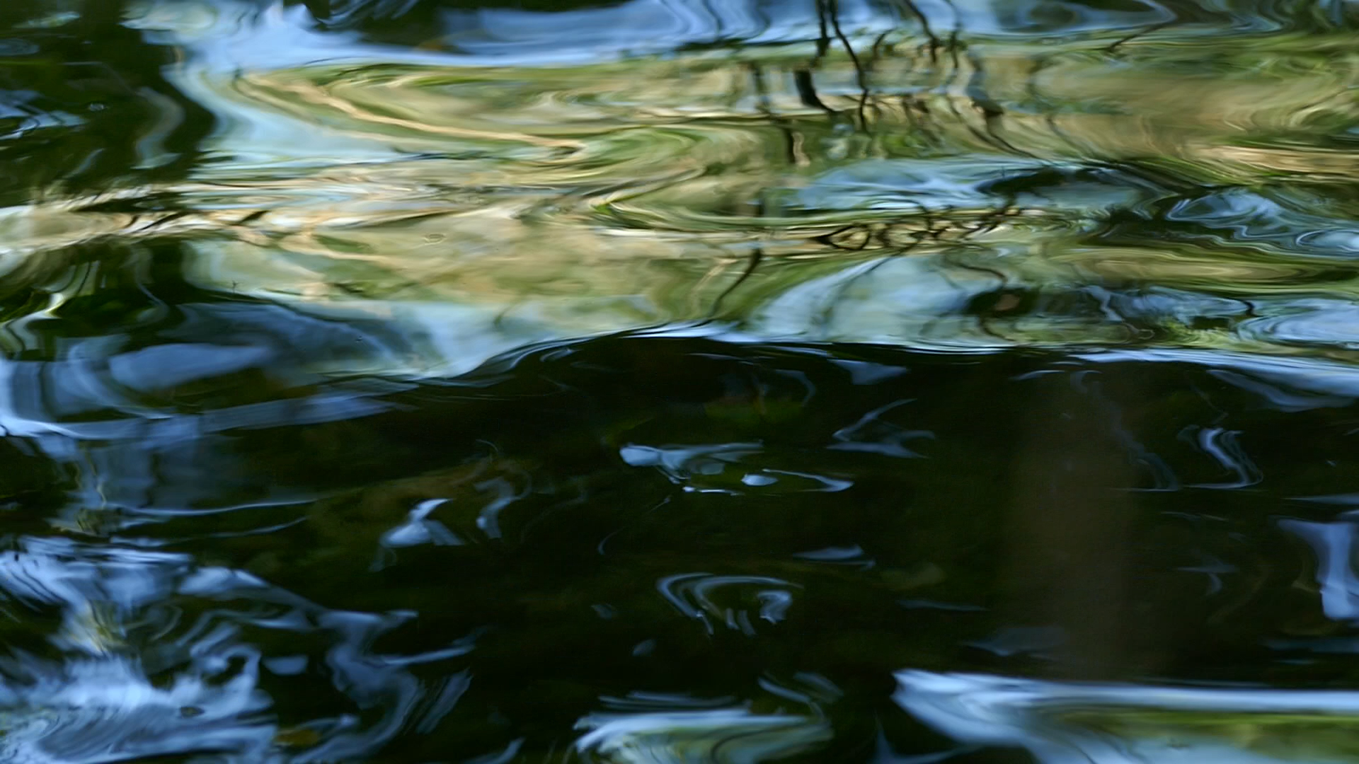 2023-08-19 und -20 Licht und Wasser am Stechlin (Fieldrecording Video)