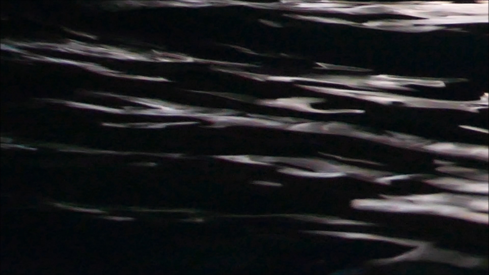 2025-11-05 20 Uhr 27 Marazul Dive Resort (Fieldrecording Video, Kamera 1)