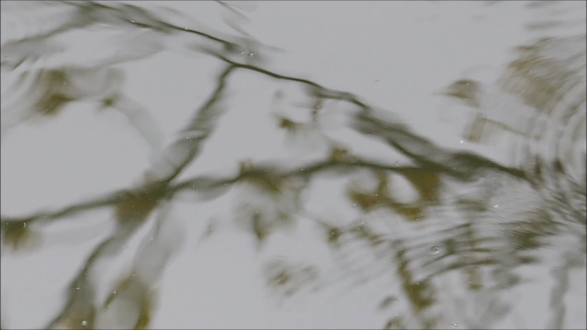 2026-04-20 17 Uhr 05 Kaleidoskop (Fieldrecording Video) (Kamera 2)