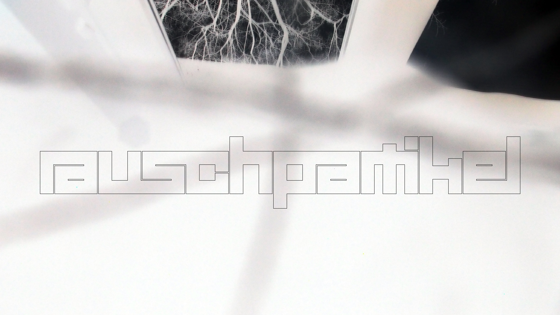 2023-02-05 wendelrekords III Pure Vinyl, geritzt (Audio, Foto, Video)