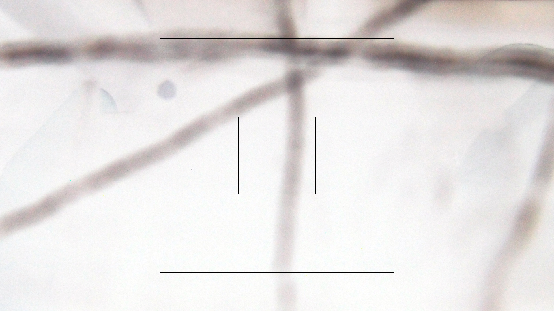 2023-02-05 wendelrekords III Pure Vinyl, geritzt (Audio, Foto, Video)