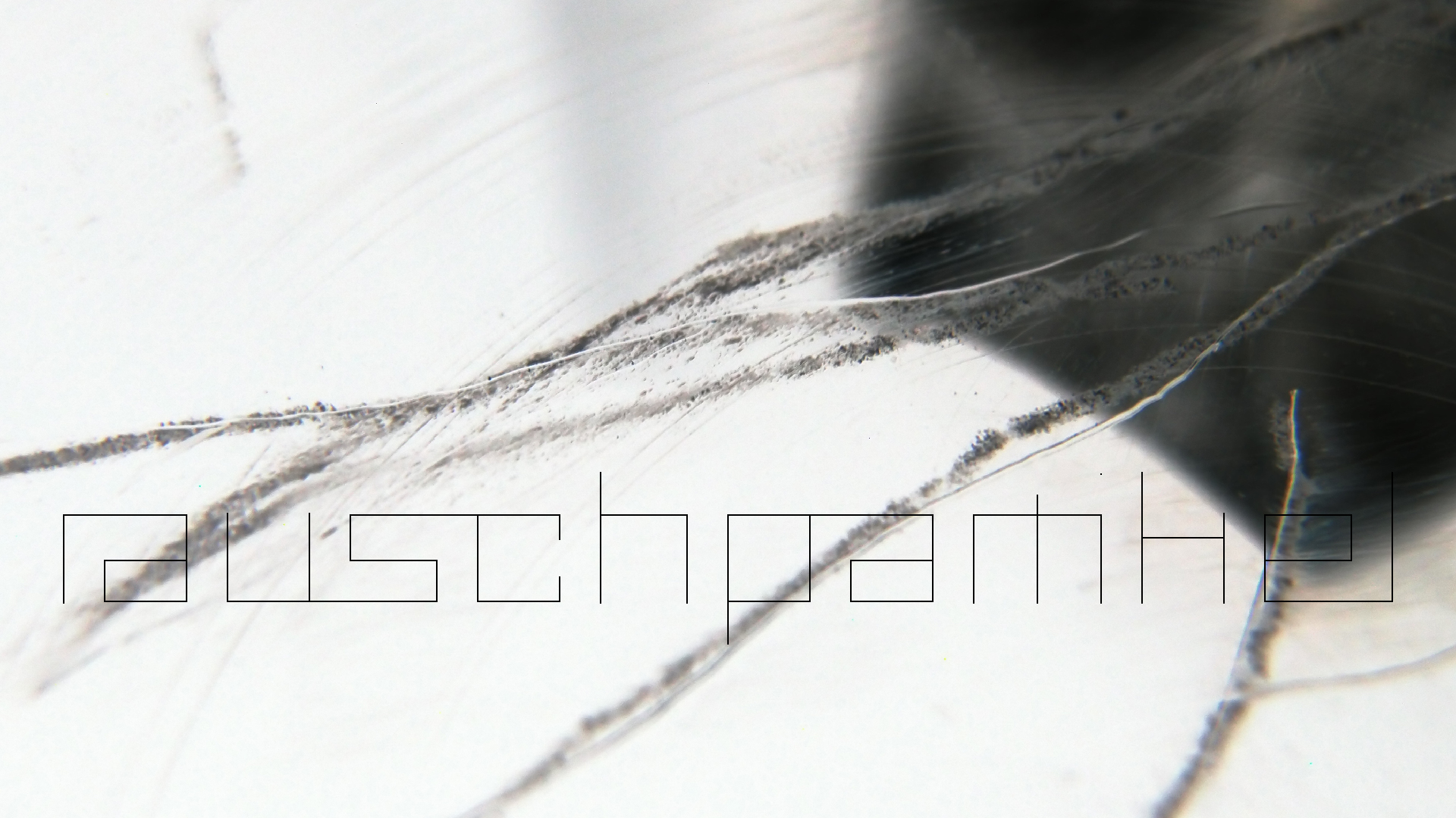 2023-02-05 wendelrekords III Pure Vinyl, geritzt (Audio, Foto, Video)