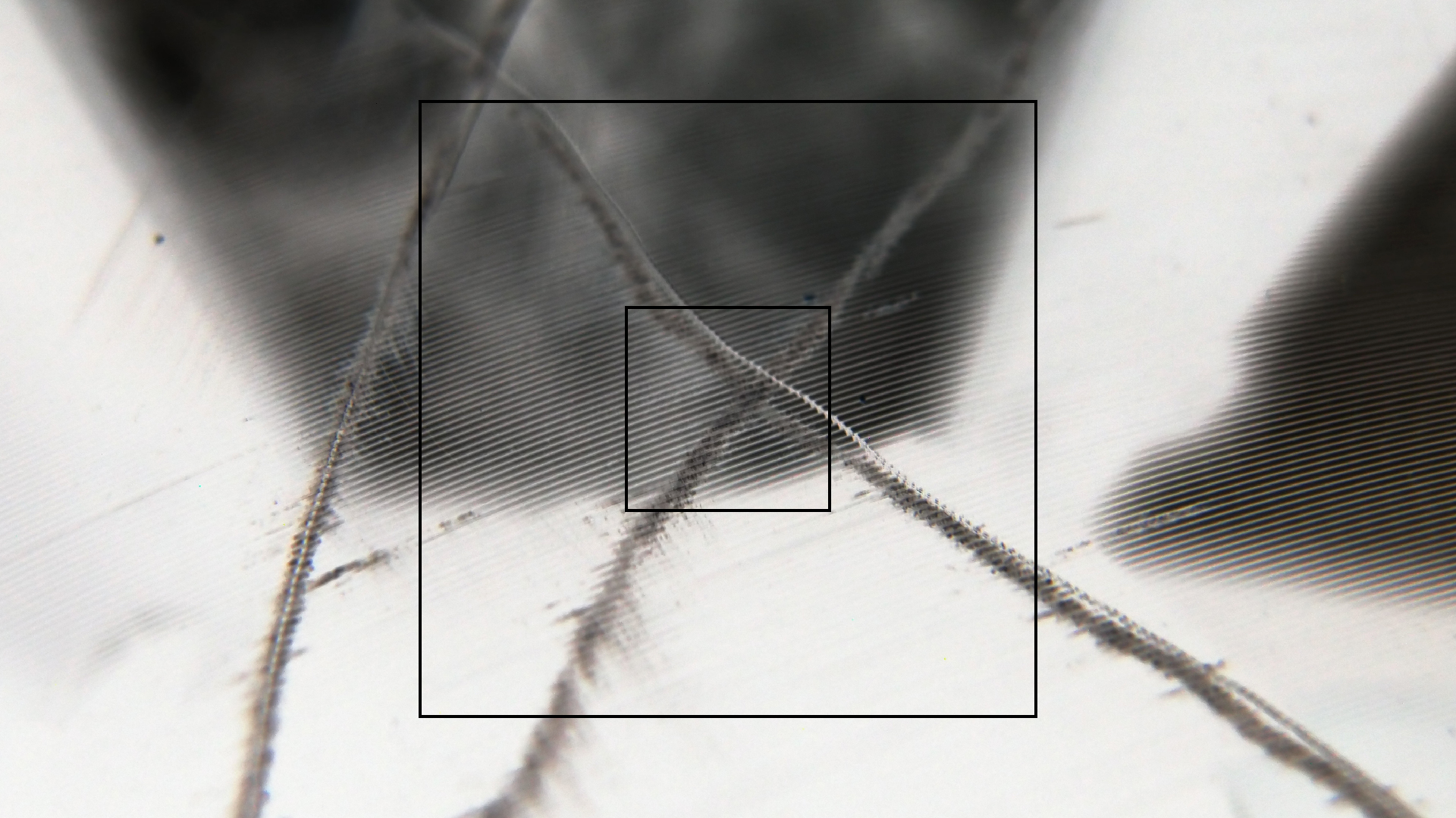 2023-02-05 wendelrekords III Pure Vinyl, geritzt (Audio, Foto, Video)