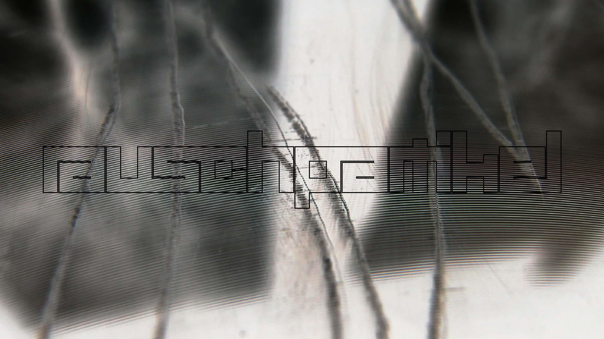 2023-02-05 wendelrekords III Pure Vinyl, geritzt (Audio, Foto, Video)