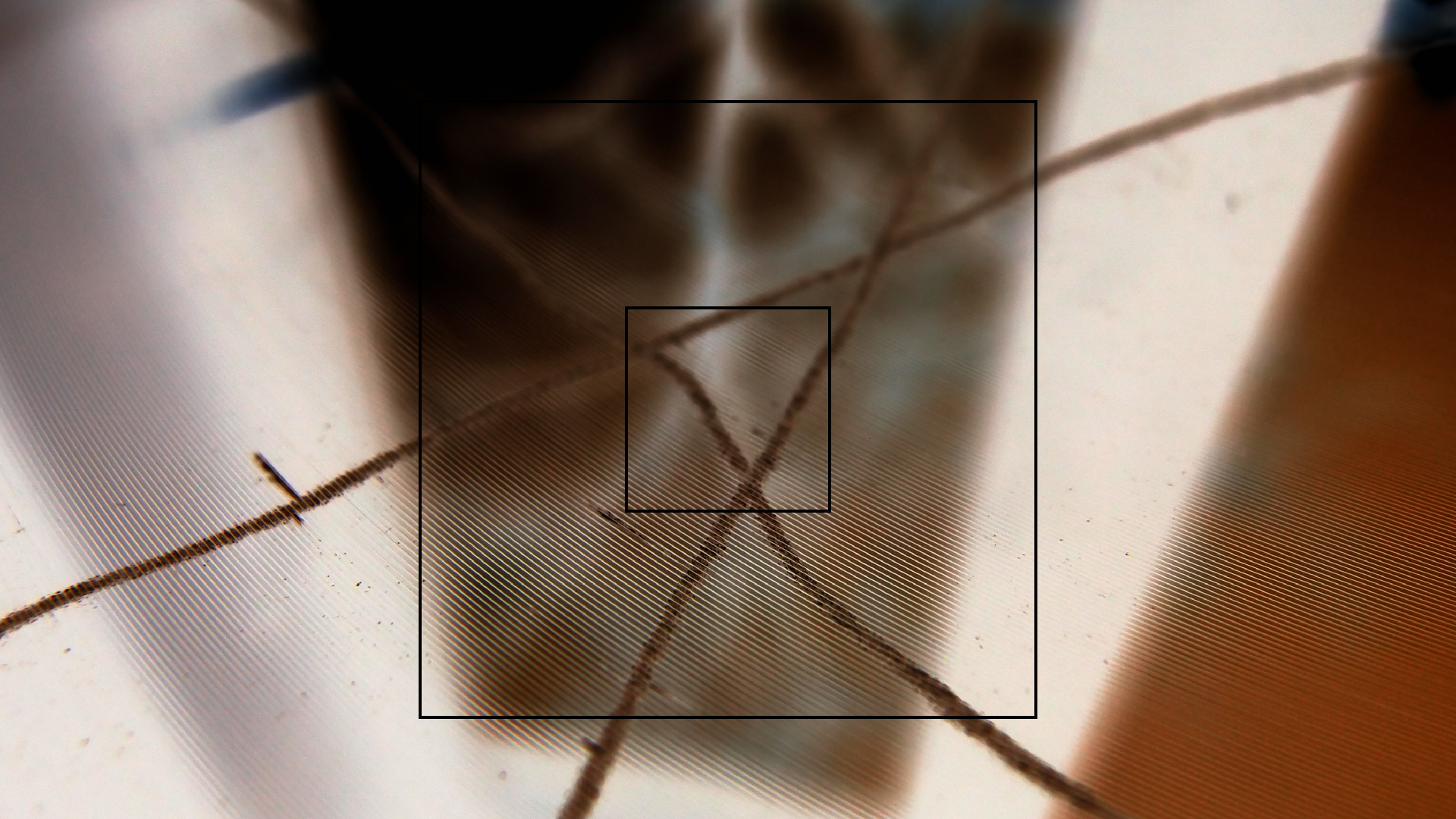 2023-02-05 wendelrekords III Pure Vinyl, geritzt (Audio, Foto, Video)