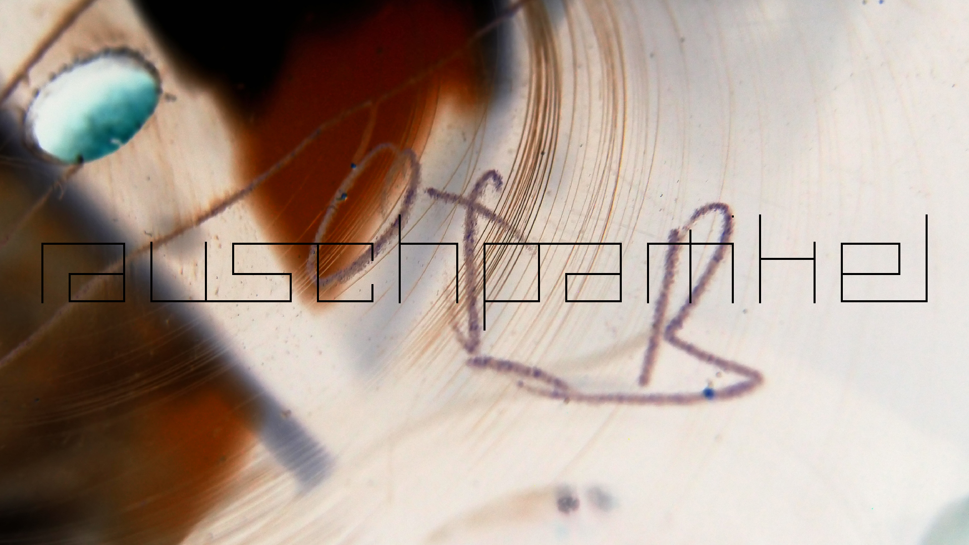 2023-02-05 wendelrekords III Pure Vinyl, geritzt (Audio, Foto, Video)