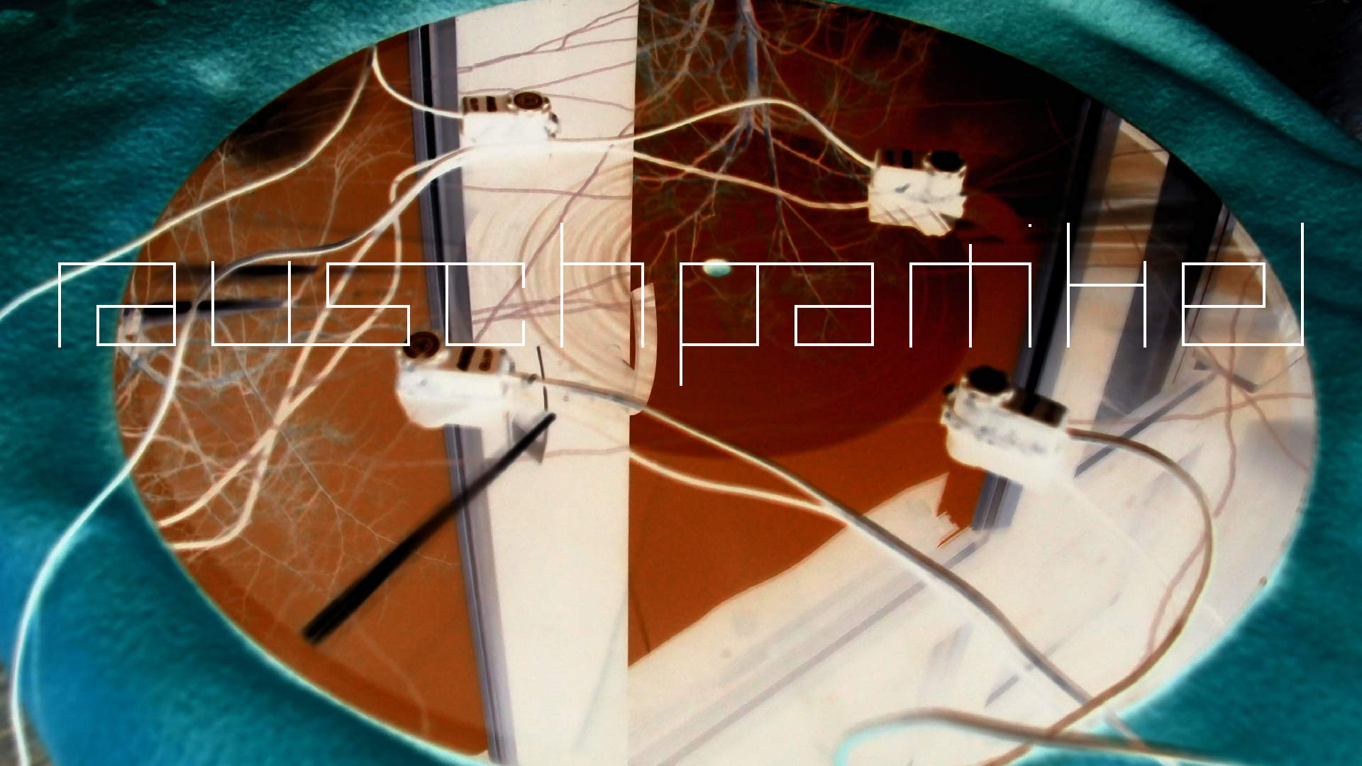 2023-02-05 wendelrekords III Pure Vinyl, geritzt (Audio, Foto, Video)