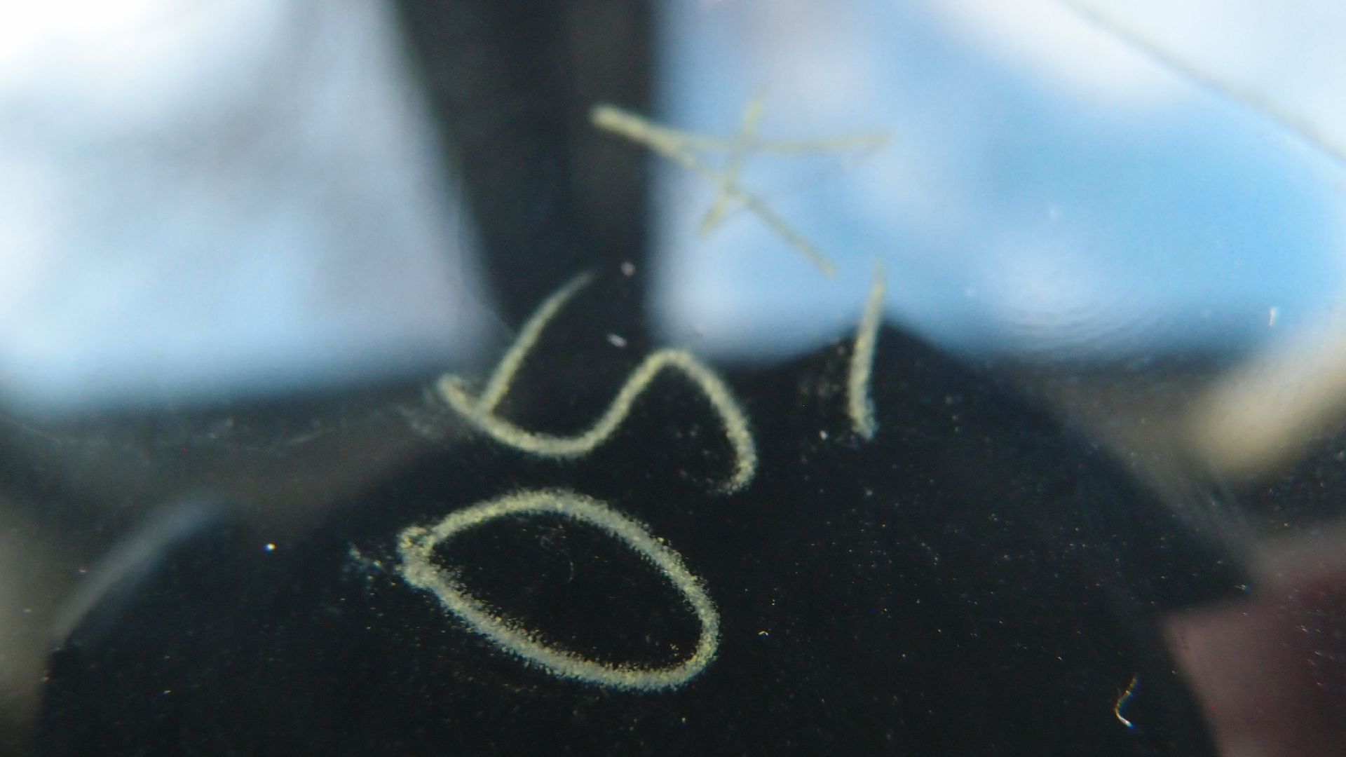 2023-02-05 wendelrekords III Pure Vinyl, geritzt (Audio, Foto, Video)