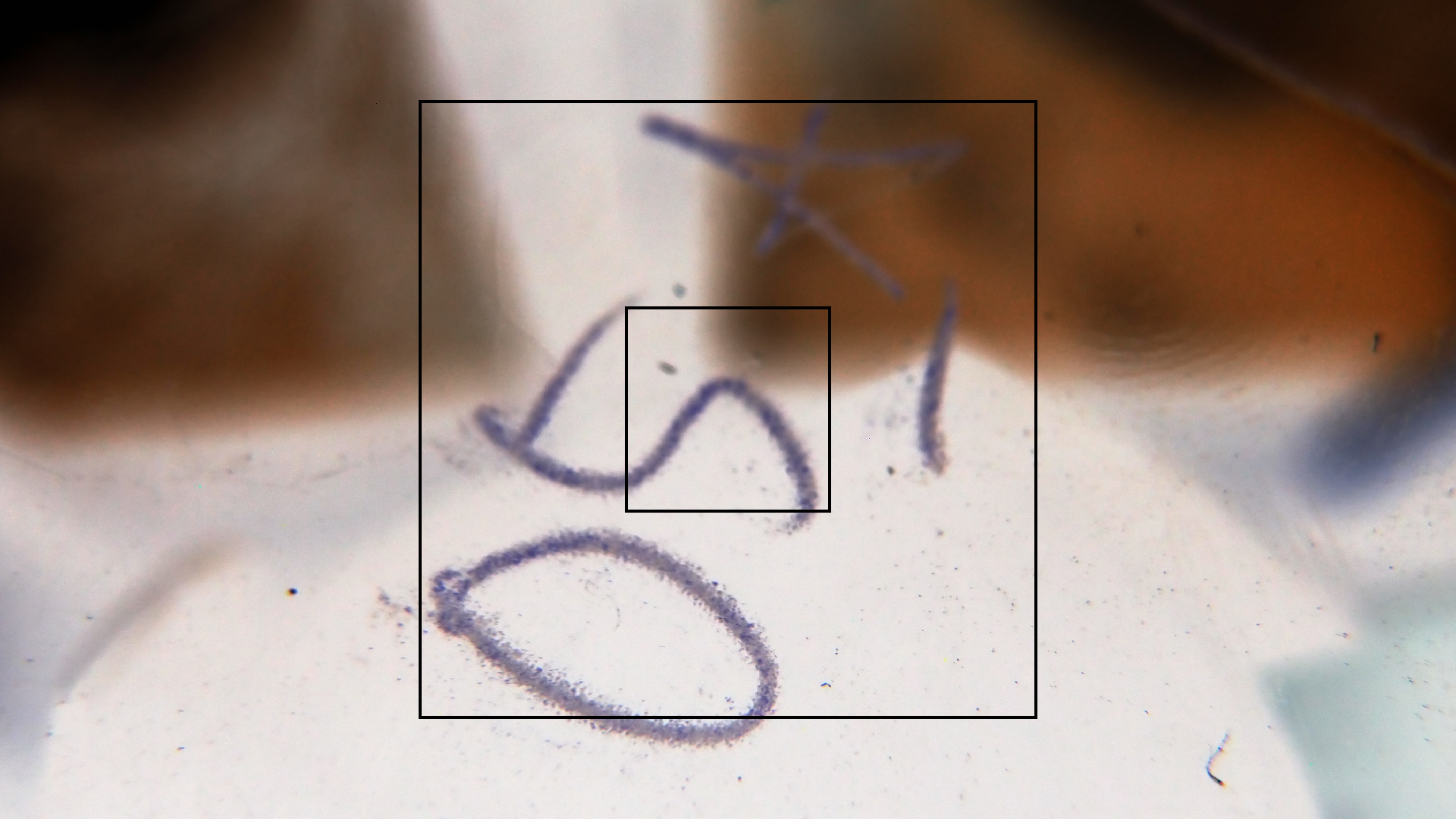 2023-02-05 wendelrekords III Pure Vinyl, geritzt (Audio, Foto, Video)