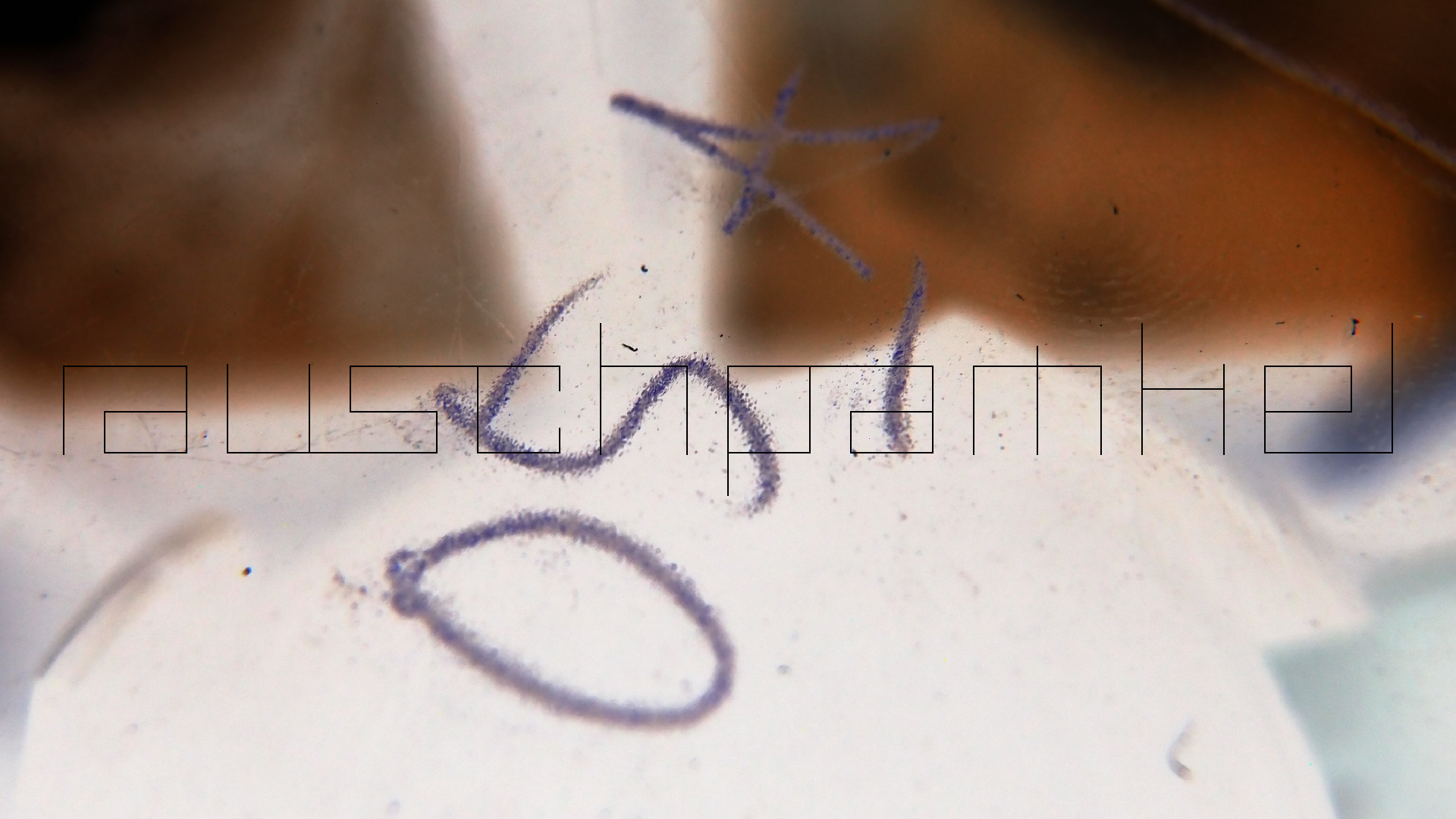 2023-02-05 wendelrekords III Pure Vinyl, geritzt (Audio, Foto, Video)