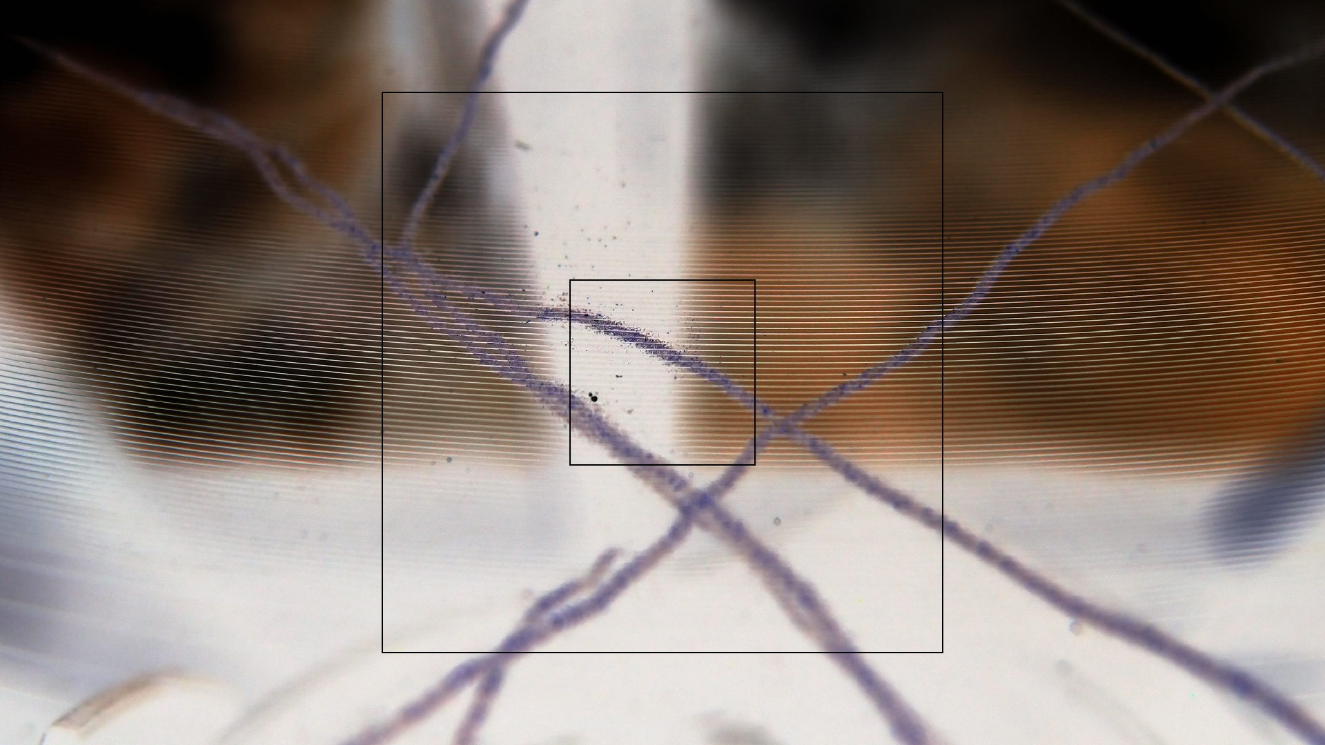 2023-02-05 wendelrekords III Pure Vinyl, geritzt (Audio, Foto, Video)