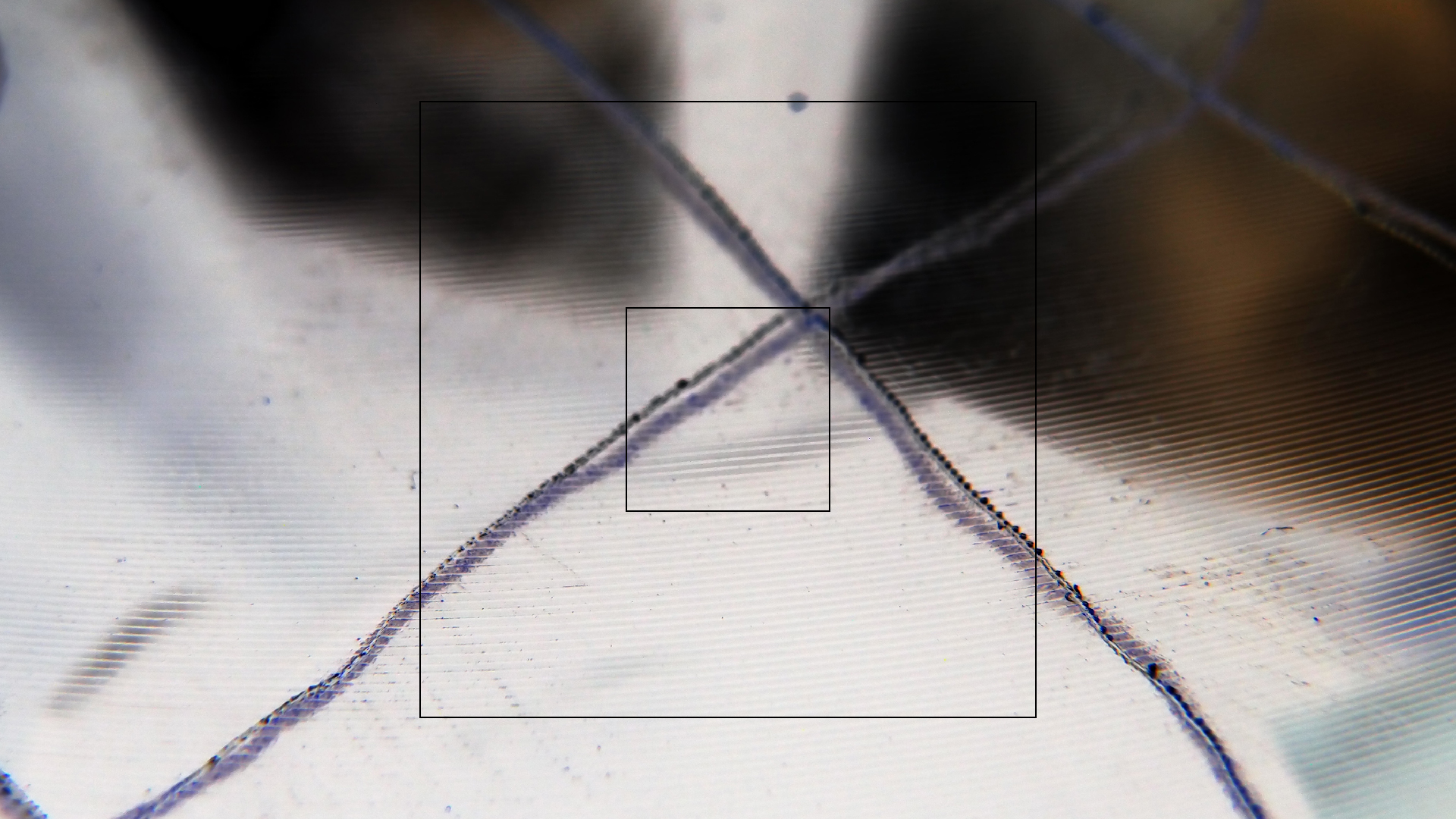 2023-02-05 wendelrekords III Pure Vinyl, geritzt (Audio, Foto, Video)