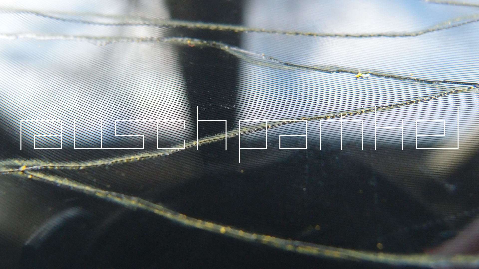 2023-02-05 wendelrekords III Pure Vinyl, geritzt (Audio, Foto, Video)