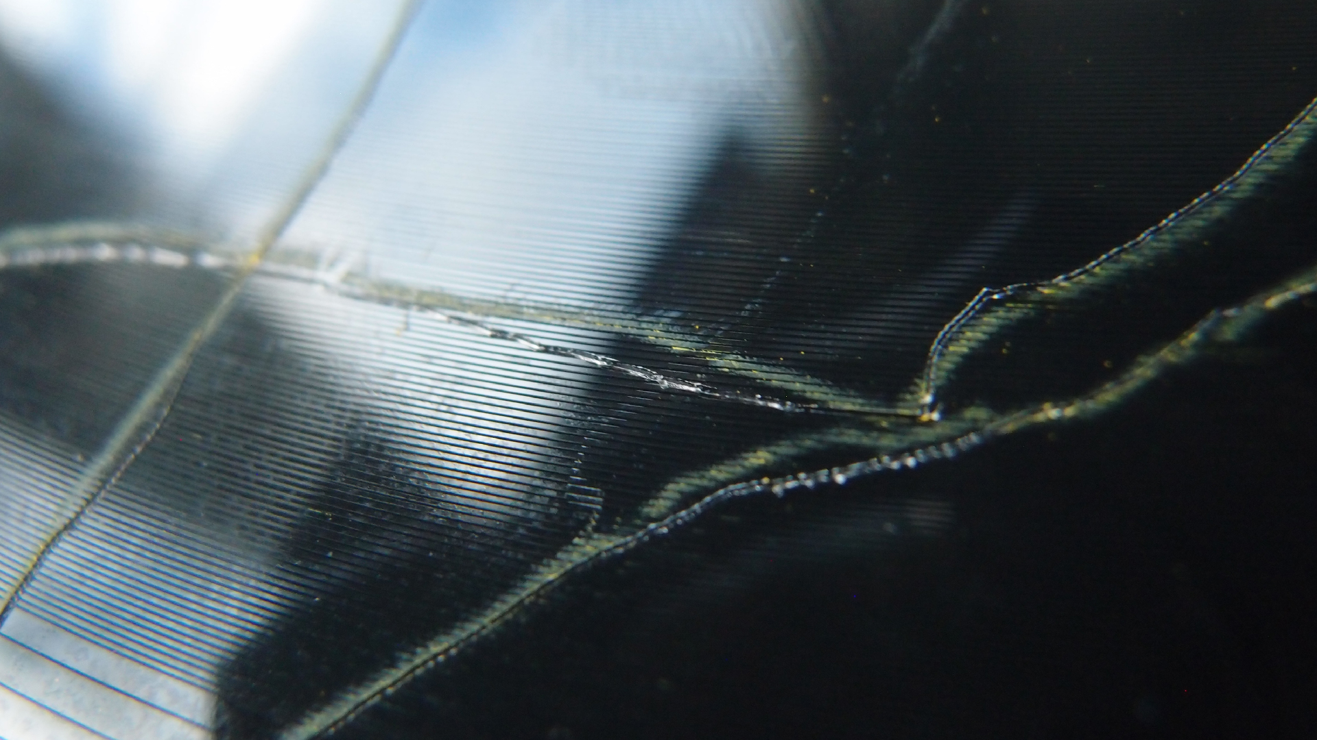 2023-02-05 wendelrekords III Pure Vinyl, geritzt (Audio, Foto, Video)